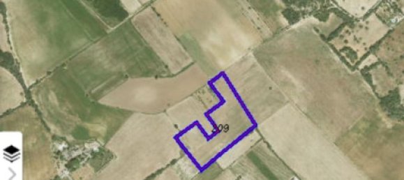  Land in Felanitx, Spain No. 162543 9