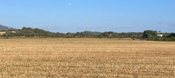  Land in Felanitx, Spain No. 162543 4