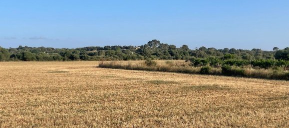  Land in Felanitx, Spain No. 162543 5