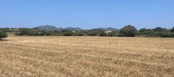  Land in Felanitx, Spain No. 162543 2