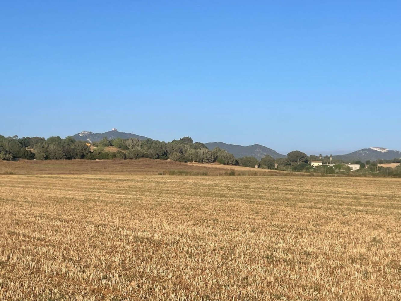  Land in Felanitx, Spain No. 162543