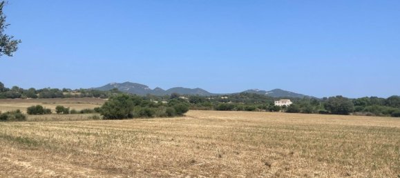  Land in Felanitx, Spain No. 162543 8