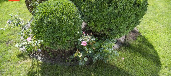 Дом с 11 комнатами в Pfaffenhofen an der Ilm, Германия № 288317 26