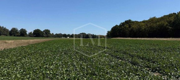 Terreno em Helmstedt, Germany N.º 291991 2