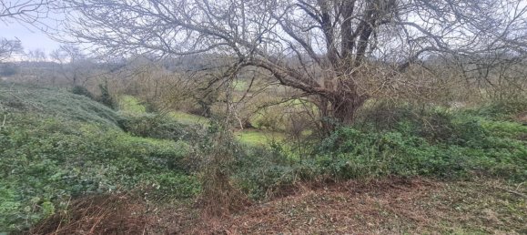 Дом с 4 спальнями в Горж, Франция № 99856 8