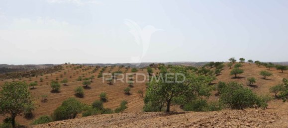 9 غرف نوم منزل في Azinhal, Portugal رقم 135526 24