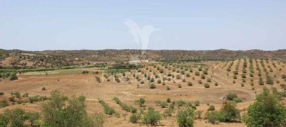 9 غرف نوم منزل في Azinhal, Portugal رقم 135526 18