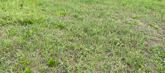 Terreno em San Biagio di Callalta, Italy 3800 m² N.º 132783 6