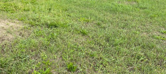 Terreno em San Biagio di Callalta, Italy 3800 m² N.º 132783 4