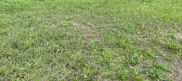 Terreno em San Biagio di Callalta, Italy 3800 m² N.º 132783 3