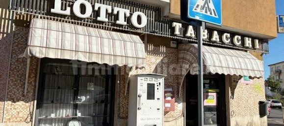 1 room Commercial property in Grosseto, Italy No. 284496 2