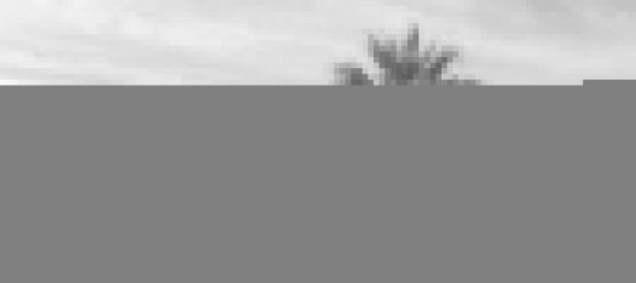 3 غرف نوم منزل ذو طابقين في Dehesa De Campoamor, Spain رقم 188309 2