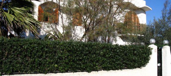 15-salle Villa à Civitavecchia, Italy No. 293358 41