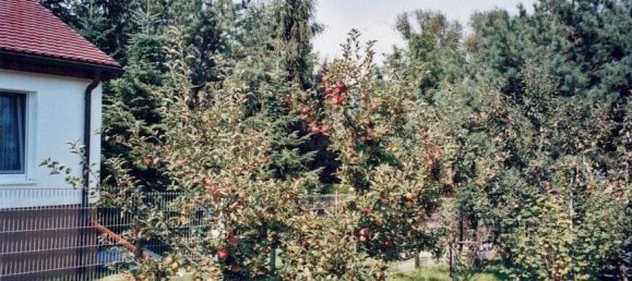 4-Zimmer Haus in Leipzig, Germany, Nr. 188453 15