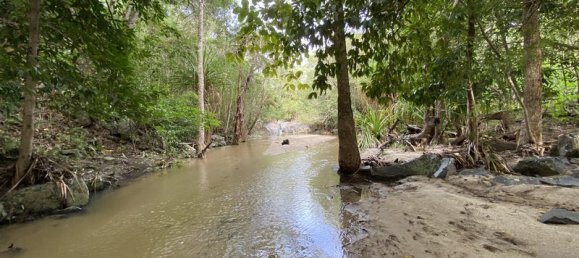 Terrain à Rossville, Australia 515000m² No. 50 8