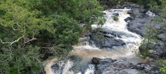 Terrain à Rossville, Australia 515000m² No. 50 5