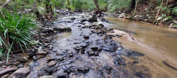 Terrain à Rossville, Australia 515000m² No. 50 7