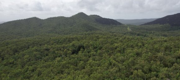 Terrain à Rossville, Australia 515000m² No. 50 4