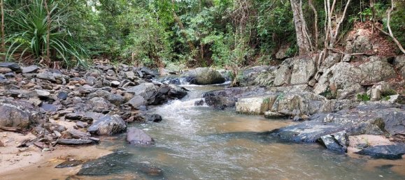 Terrain à Rossville, Australia 515000m² No. 50 9