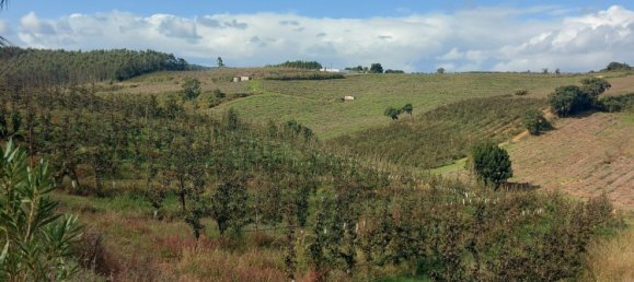 10 bedrooms House in Caldas da Rainha, Portugal No. 138013 18