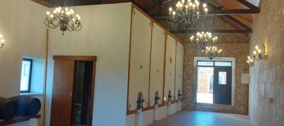 10 bedrooms House in Caldas da Rainha, Portugal No. 138013 20