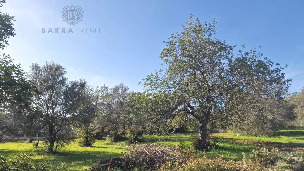  قطعة أرض في Sao Bras de Alportel, Portugal رقم 35257