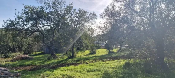  قطعة أرض في Sao Bras de Alportel, Portugal رقم 35257 4