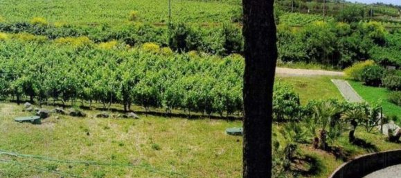 Коммерческая недвижимость 1275м² в Гроттаферрата, Италия № 300155 11