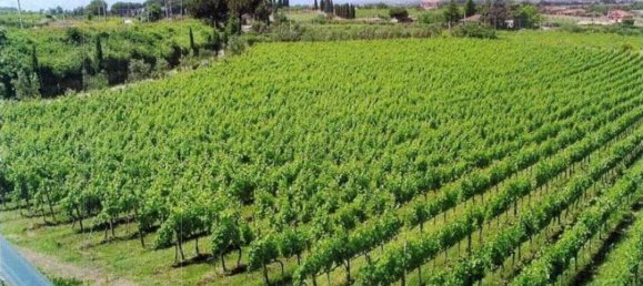 Коммерческая недвижимость 1275м² в Гроттаферрата, Италия № 300155 12