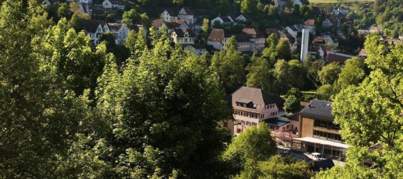 Таунхаус с 6 комнатами в Кальв, Германия № 1217 21