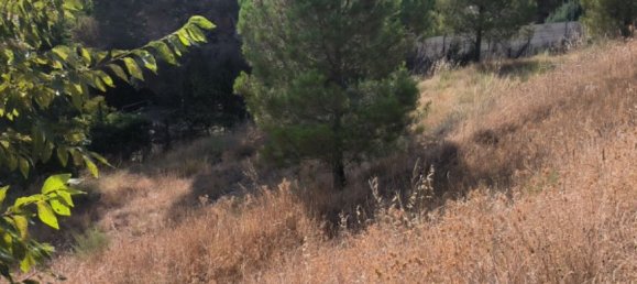 1050m² Land in Chinchon, Spain No. 189355 3