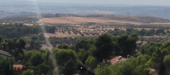 1050m² Land in Chinchon, Spain No. 189355 12