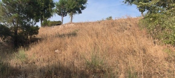 1050m² Land in Chinchon, Spain No. 189355 6
