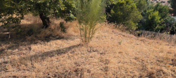 1050m² Land in Chinchon, Spain No. 189355 2