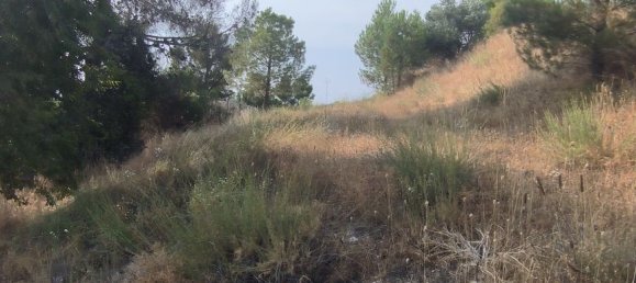 1050m² Land in Chinchon, Spain No. 189355 5