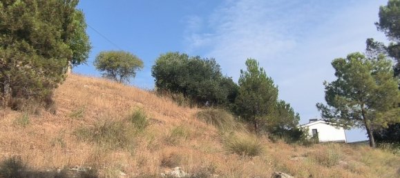 1050m² Land in Chinchon, Spain No. 189355 9