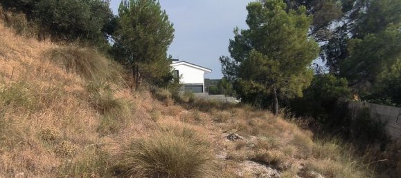 1050m² Land in Chinchon, Spain No. 189355 10
