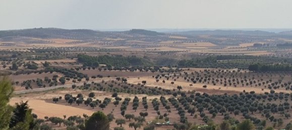 1050m² Land in Chinchon, Spain No. 189355 11