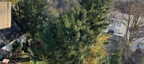 Gewerbliche Immobilie in Remscheid, Germany 60m², Nr. 44964 14