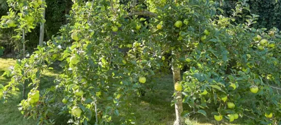 3 Schlafzimmer Haus in Rendsburg-Eckernförde, Germany, Nr. 279353 14