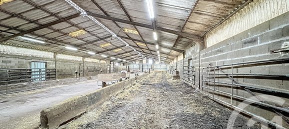 Terreno en Chatillon-sur-Cher, France No. 230564 6