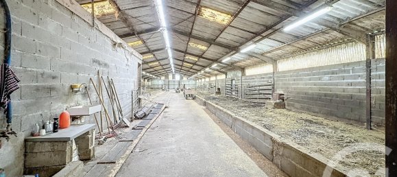 Terreno en Chatillon-sur-Cher, France No. 230564 5