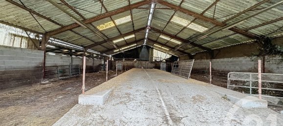 Terreno en Chatillon-sur-Cher, France No. 230564 12