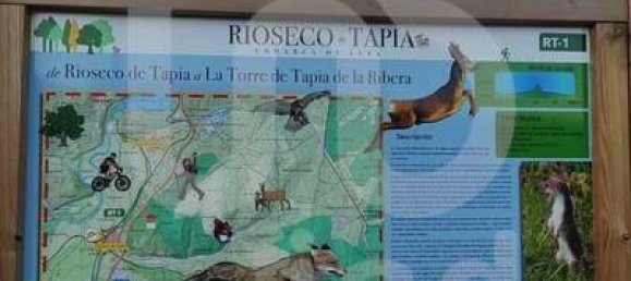 762m² Land in Leon, Spain No. 167515 13