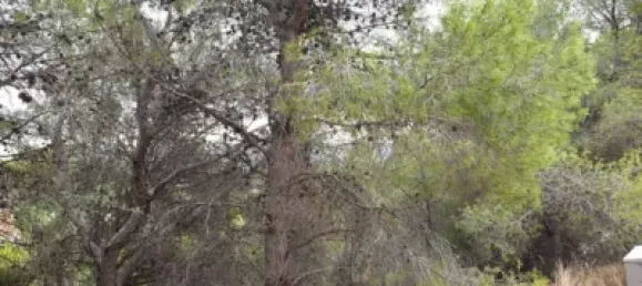 Grundstück in Altea, Spain, Nr. 134888 2