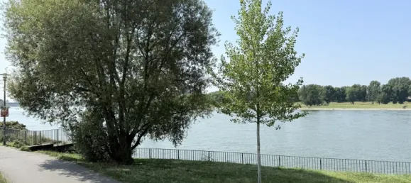 3 rooms Apartment in Cologne, Germany No. 304252 12