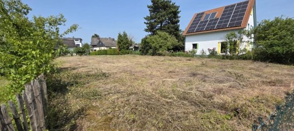 Terrain à Bonn, Germany No. 295771 2