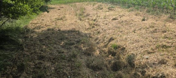 2-salle Maison à Sudoststeiermark, Austria No. 194451 18