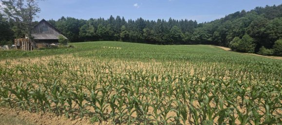 2-salle Maison à Sudoststeiermark, Austria No. 194451 10