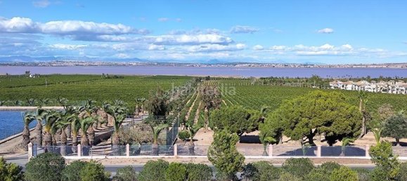 2 Schlafzimmer Bungalow in Torrevieja, Spain, Nr. 156102 36